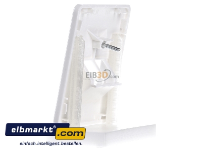 Ansicht rechts Jung CD 569-2 UA WW Abdeckung aws f�r IAE/UAE-Dose 