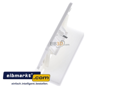 Ansicht oben rechts Jung CD 569-2 UA WW Abdeckung aws f�r IAE/UAE-Dose 