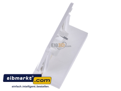 Ansicht oben rechts Jung CD 569-1 UA WW Abdeckung aws f�r IAE/UAE-Dose 