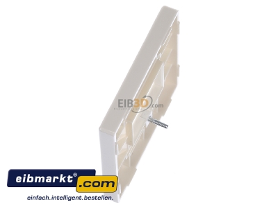 Ansicht oben rechts Jung LS 969 T Abdeckung ws f�r TAE-Dose 