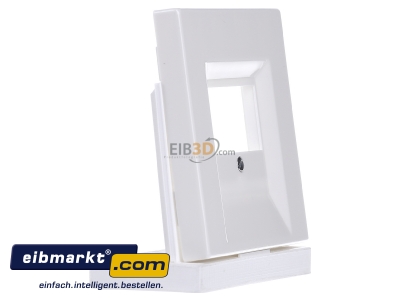 View on the left Jung LS 969 T WW Plate TAE - 
