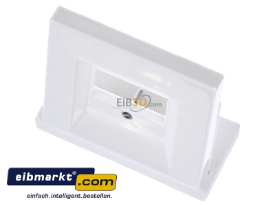 View up front Jung LS 969 T WW Plate TAE - 
