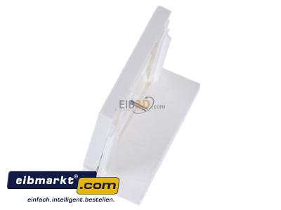 View top right Jung LS 969 T WW Plate TAE - 
