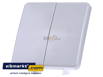 Frontansicht Jung CD 595 LG Wippe lgr f�r Taster 
