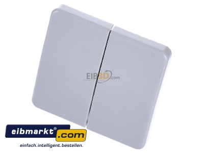 Ansicht oben vorne Jung CD 595 LG Wippe lgr f�r Taster 