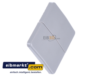 Ansicht oben links Jung CD 595 LG Wippe lgr f�r Taster 