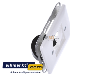 Ansicht oben links Jung CD 568 WW Abdeckung aws f�r XLR Steckdose 