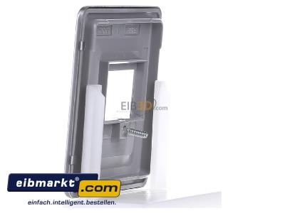 Ansicht rechts Jung CD 569 T PT Abdeckung pla f�r TAE-Dose 
