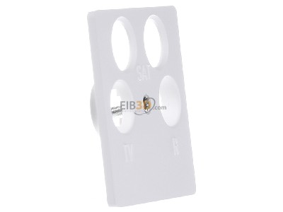 View on the left Berker 14841909 Central cover plate for intermediate 
