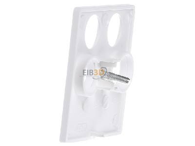 View on the right Berker 14841909 Central cover plate for intermediate 
