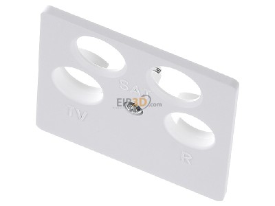 View up front Berker 14841909 Central cover plate for intermediate 
