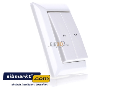 Ansicht links Jung AS 590-5 P WW Abdeckung Symbole aws f�r Taster 