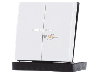 Frontansicht Jung AS 591-5 KO5BF WW Wippe Lichtleiter aws f�r Schalter/Taster 