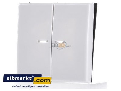 Frontansicht Jung AS 591-5 KO5 WW Wippe Lichtleiter aws f�r Taster 