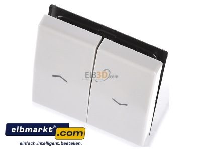 Ansicht oben vorne Jung AS 591-5 P Wippe Symbole ws f�r Taster 