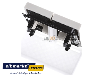 Ansicht oben hinten Jung AS 591-5 P Wippe Symbole ws f�r Taster 