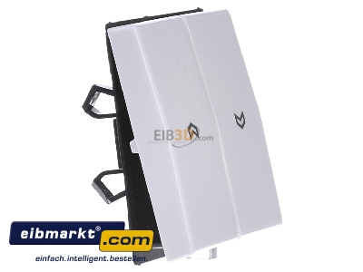 Ansicht links Jung AS 591-5 P BF WW Wippe Symbole aws f�r Jal.Schalter 