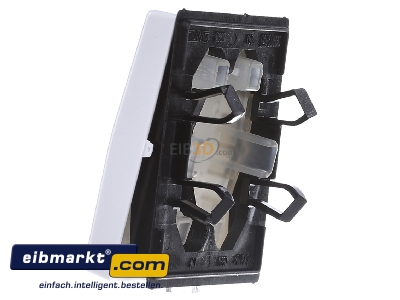 Ansicht rechts Jung AS 591-5 P BF WW Wippe Symbole aws f�r Jal.Schalter 