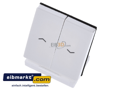Ansicht oben vorne Jung AS 591-5 P WW Wippe Symbole aws f�r Taster 
