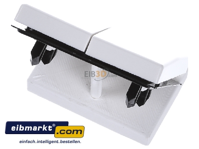 Ansicht oben hinten Jung AS 591-5 P WW Wippe Symbole aws f�r Taster 