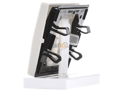Ansicht rechts Jung AS 591 BF Wippe ws f�r Schalter/Taster 