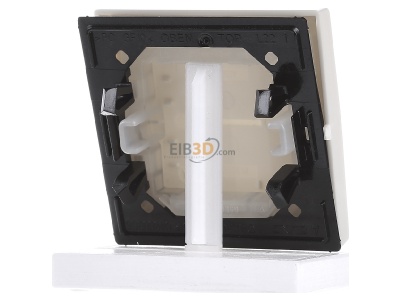 Back view Jung AS 591 BF Cover plate for switch/push button 

