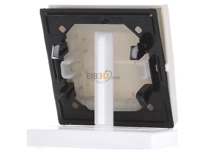 Ansicht hinten Jung AS 591 BF Wippe ws f�r Schalter/Taster 