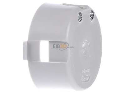 View on the right Berker 9182001 Hollow wall mounted box D=45mm 
