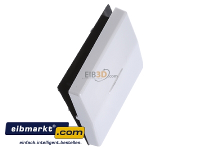 Ansicht oben links Jung AS 591 KO5 BF WW Wippe Lichtleiter aws f�r Schalter/Taster 