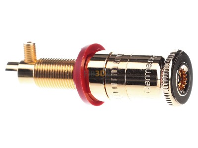 View on the left Jung LPK 63 RT Plate loudspeaker connection 
