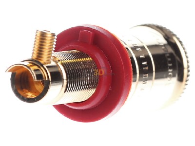 Back view Jung LPK 63 RT Plate loudspeaker connection 
