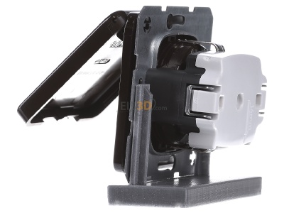 View on the right Berker 471501 Socket outlet (receptacle) 
