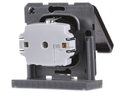 Back view Berker 471501 Socket outlet (receptacle) 
