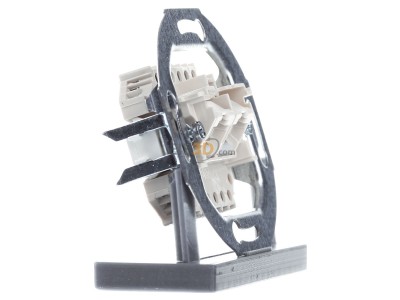 View on the left Berker 4539 RJ45 8(8) Data outlet Cat.3 white 
