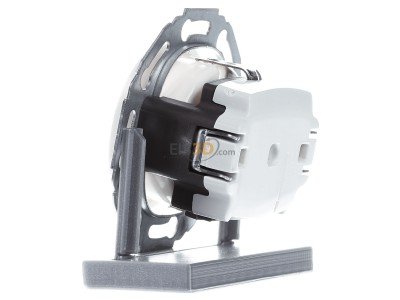 View on the right Berker 414520 Socket outlet (receptacle) 

