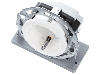 View up front Berker 414520 Socket outlet (receptacle) 
