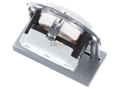 Top rear view Berker 414520 Socket outlet (receptacle) 
