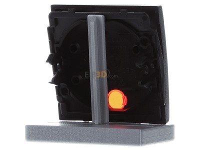 Ansicht hinten Berker 16241606 Wippe anth matt mit roter Linse 
