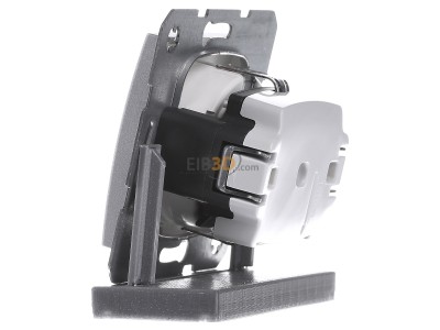 View on the right Berker 47231404 Socket outlet (receptacle) 
