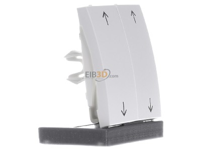 Ansicht links Berker 16441909 Wippe pws Symbol Pfeil 