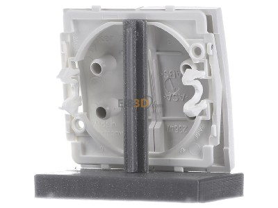 Ansicht hinten Berker 16441909 Wippe pws Symbol Pfeil 