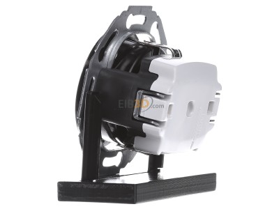 View on the right Berker 474521 Socket outlet (receptacle) 
