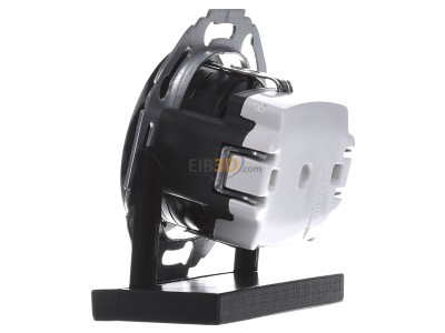 View on the right Berker 475501 Socket outlet (receptacle) 
