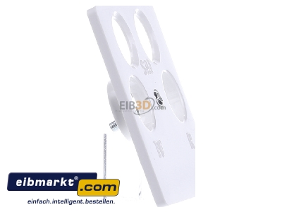 View on the left Berker 148409 Central cover plate for intermediate
