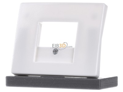 Front view Berker 10350169 Central cover plate TAE 
