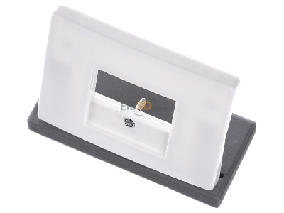 View up front Berker 10350169 Central cover plate TAE 
