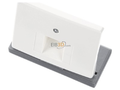 View up front Berker 14070002 Central cover plate UAE/IAE (ISDN) 
