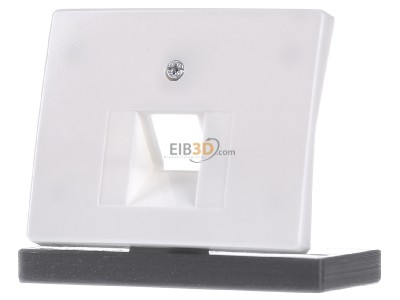 Front view Berker 14070069 Central cover plate UAE/IAE (ISDN) 
