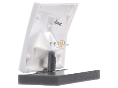 View on the right Berker 14070069 Central cover plate UAE/IAE (ISDN) 
