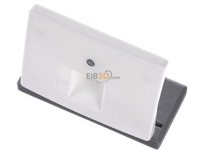 View up front Berker 14070069 Central cover plate UAE/IAE (ISDN) 
